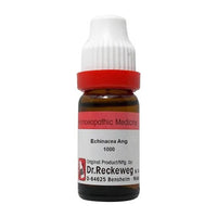 Thumbnail for dr.-reckeweg-echinacea-ang-dilutio