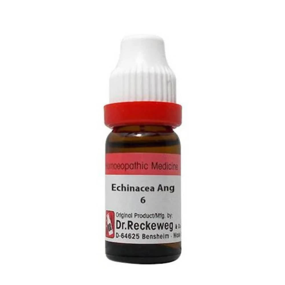 dr.-reckeweg-echinacea-ang-dilutio