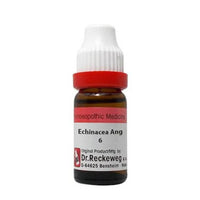 Thumbnail for dr.-reckeweg-echinacea-ang-dilutio