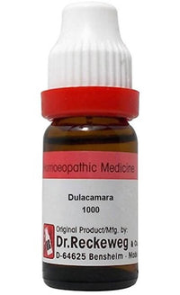 Thumbnail for dr.-reckeweg-dulcamara-dilutio