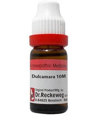 Thumbnail for dr.-reckeweg-dulcamara-dilutio