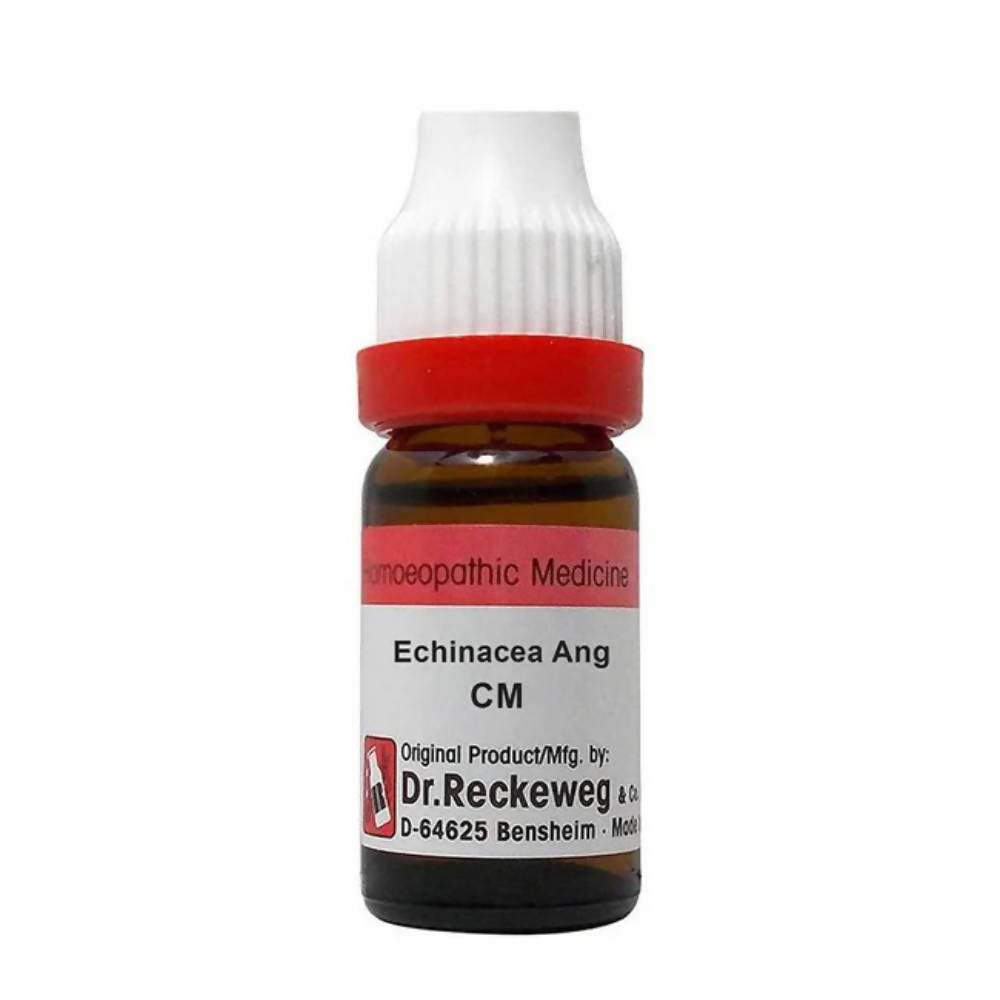 dr.-reckeweg-echinacea-ang-dilutio