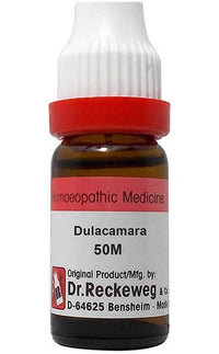 Thumbnail for dr.-reckeweg-dulcamara-dilutio