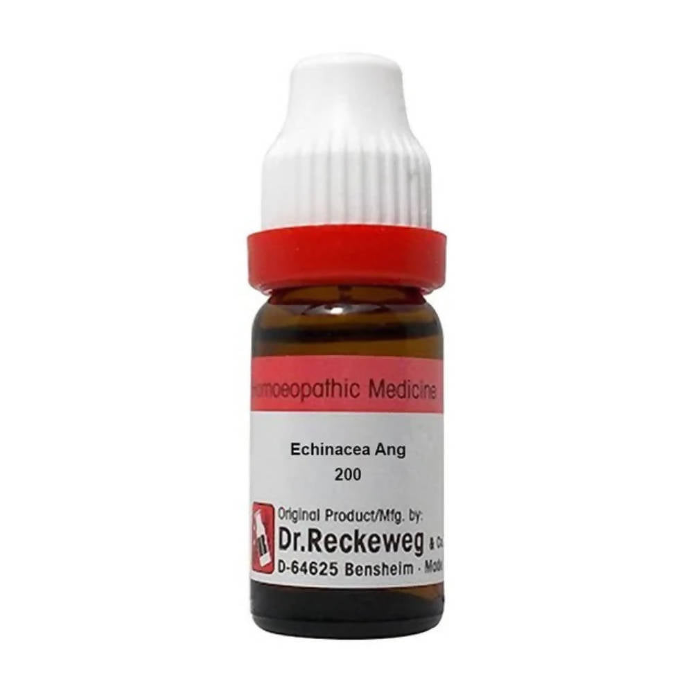 dr.-reckeweg-echinacea-ang-dilutio