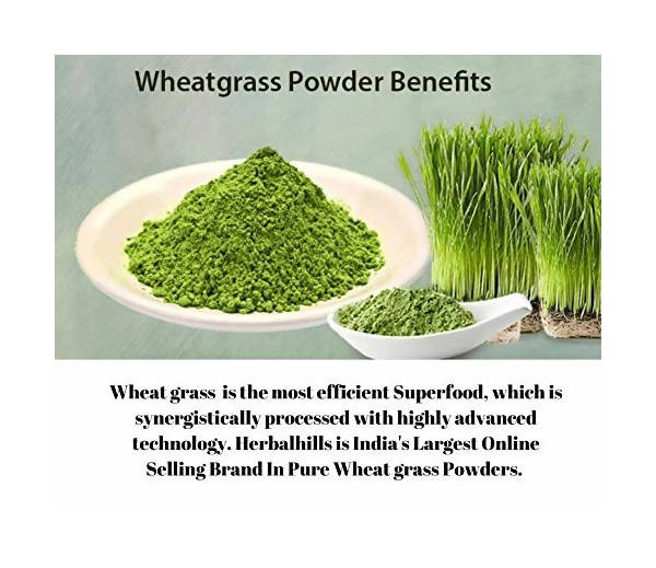 Herbal Hills Wheat