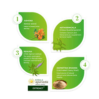 Thumbnail for Kerala Ayurveda Ostoact Tablets