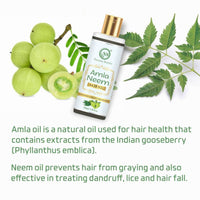 Thumbnail for Nuerma Science Amla Neem Hair Oil | Hair Growth Prevents & Premature Graying