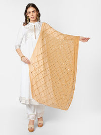 Thumbnail for Pink Ethnic Motifs Embroidered Dupatta with Mirror Work