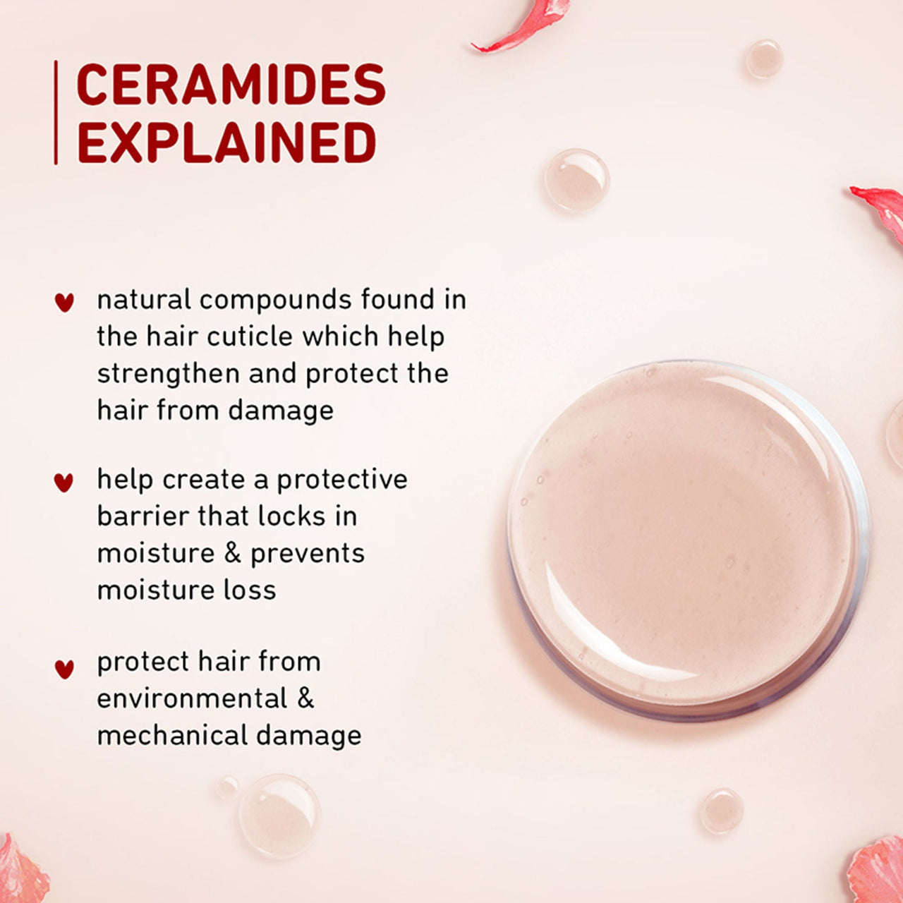 Plum Hibiscus & Ceramides Conditioner For Healthy