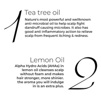 Thumbnail for Brillare Tea Tree Hair Oil with The Goodness of Lemon & Sunflower Oil Dry