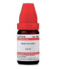 Thumbnail for Dr. Willmar Schwabe India Blatta Orientalis Dilution