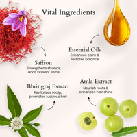 Thumbnail for Panash Bhringraj Trikalp Hair Oil