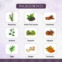 Thumbnail for Preserva Wellness Diabetic Care Curcumin Tea