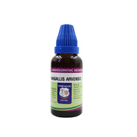 Thumbnail for father-muller-anagallis-arvensis-mother-tincture-