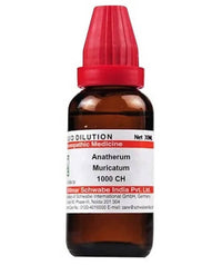 Thumbnail for dr.-willmar-schwabe-india-anatherum-muricatum-dilutio