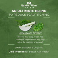 Thumbnail for Nature Glow Herbal Neem Hair Oil