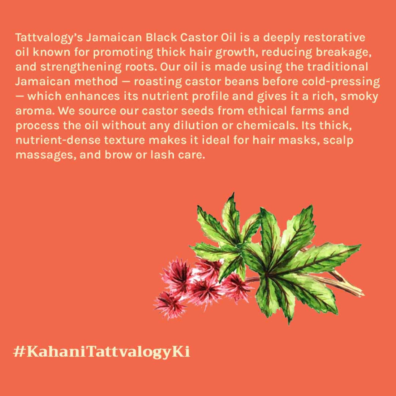 Tattvalogy Jamaican Black Castor Oil