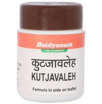 Thumbnail for baidyanath-jhansi-kutjavaleh