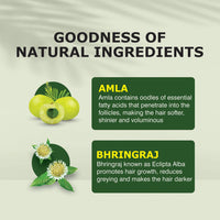 Thumbnail for Nuerma Science Amla Bhringraj Hair Oil | Scalp Nourishment & Natural Conditioning