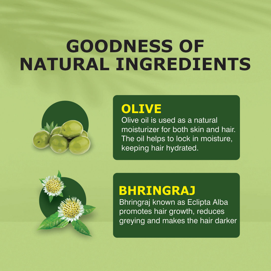 Nuerma Science Olive Bhringraj Oil