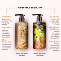 Thumbnail for De Fabulous Reviver Hair Repair Shampoo + Conditioner Combo
