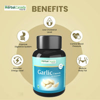 Thumbnail for Herbal Canada Garlic Capsules