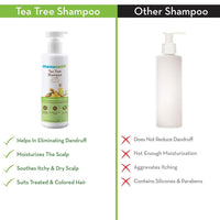 Thumbnail for Mamaearth Tea Tree Shampoo & Onion Hair Oil