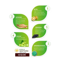 Thumbnail for Kerala Ayurveda Iogen Syrup
