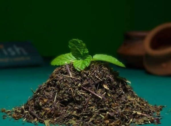 adrish-organic-dried-tulsi-leave