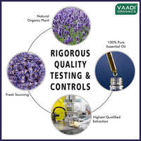 Thumbnail for Vaadi Herbals Lavender Oil Therapeutic Grade