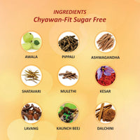 Thumbnail for Baidyanath Sugarfree Chyawan Vit