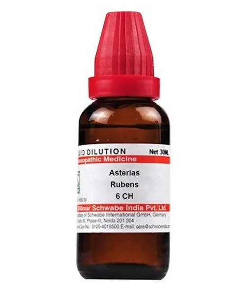 dr.-willmar-schwabe-india-asterias-rubens-dilutio