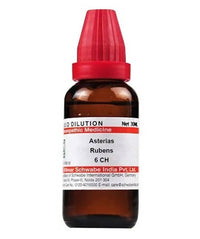 Thumbnail for dr.-willmar-schwabe-india-asterias-rubens-dilutio