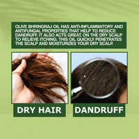 Thumbnail for Nuerma Science Olive Bhringraj Oil