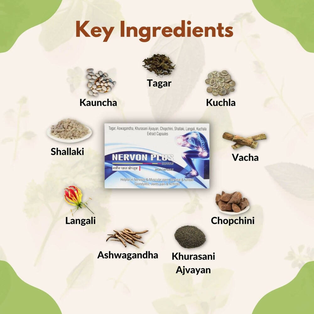 SN Herbals Nervon Plus Capsules