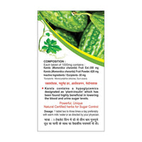 Thumbnail for Basic Ayurveda Karela Bitter Gourd Tablet