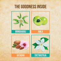 Thumbnail for Indulekha Bhringa Hair Oil
