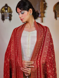 Thumbnail for maroon-ethnic-motifs-woven-design-shawl