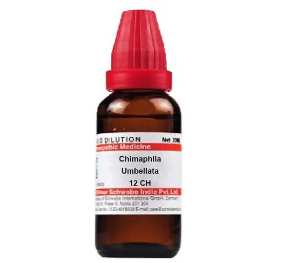dr.-willmar-schwabe-india-chimaphila-umbellata-dilutio