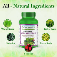 Thumbnail for Planet Ayurveda Plant Based Vitamin B12 Capsules