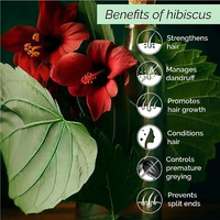 Thumbnail for Pyoura Hibiscus Hair Mist Spray For Itchy Dry Scalp & Dandruff Non