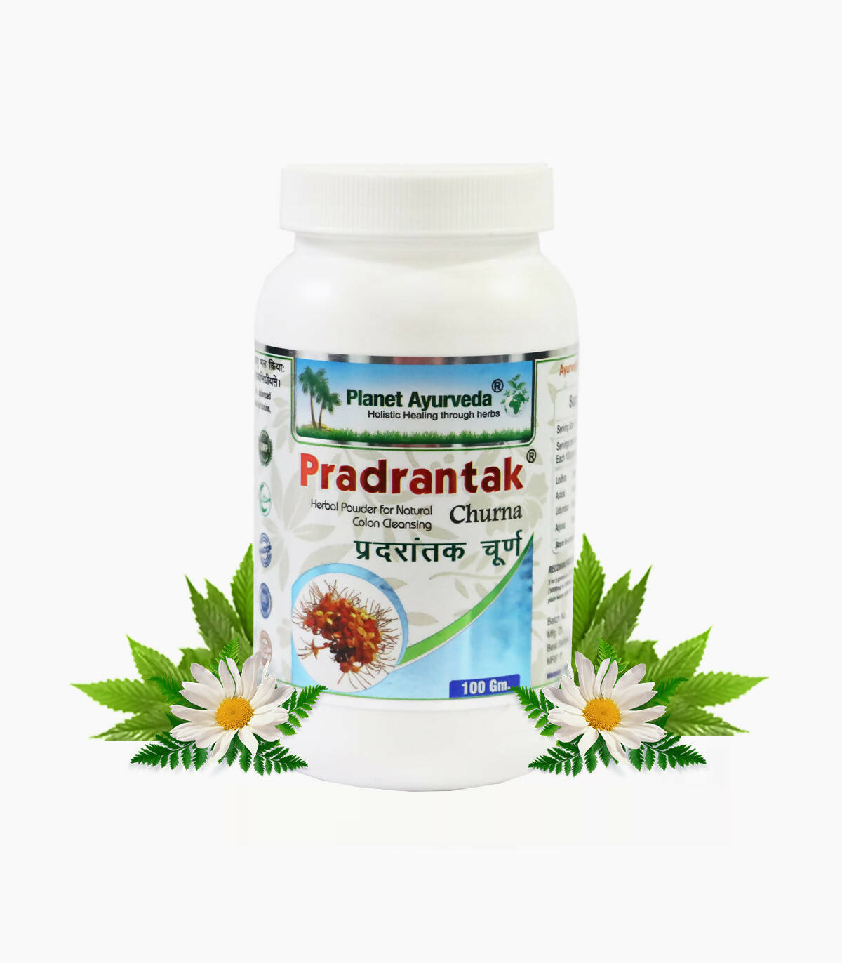 planet-ayurveda-pradrantak-churna