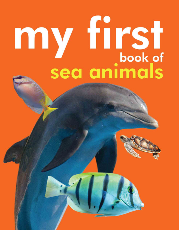 my-first-book-of-sea-animals