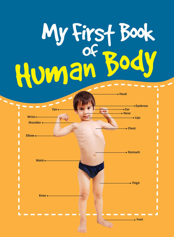 my-first-book-of-human-body