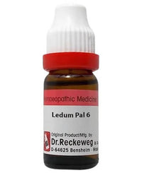 Thumbnail for dr.-reckeweg-ledum-pal-dilutio