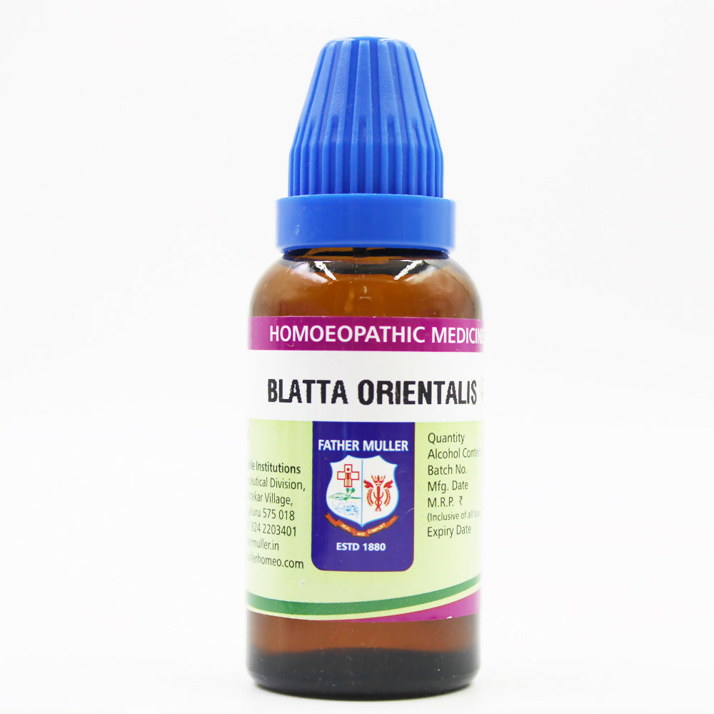 father-muller-blatta-orientalis-mother-tincture-