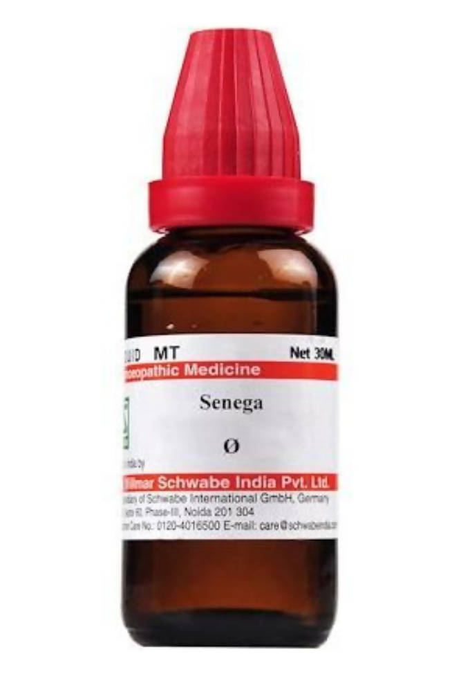 dr.-willmar-schwabe-india-senega-mother-tinctur