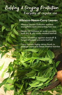 Thumbnail for Nat Habit Men is Revital Summer Hair Oil