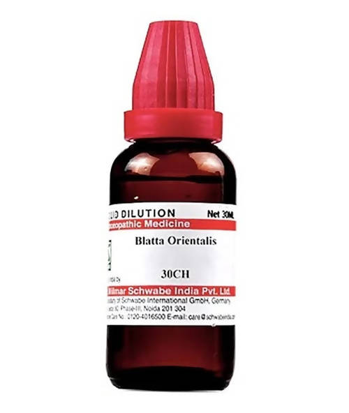 dr.-willmar-schwabe-india-blatta-orientalis-dilutio