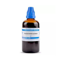 Thumbnail for sbl-homeopathy-fucus-vesiculosus-mother-tincture-